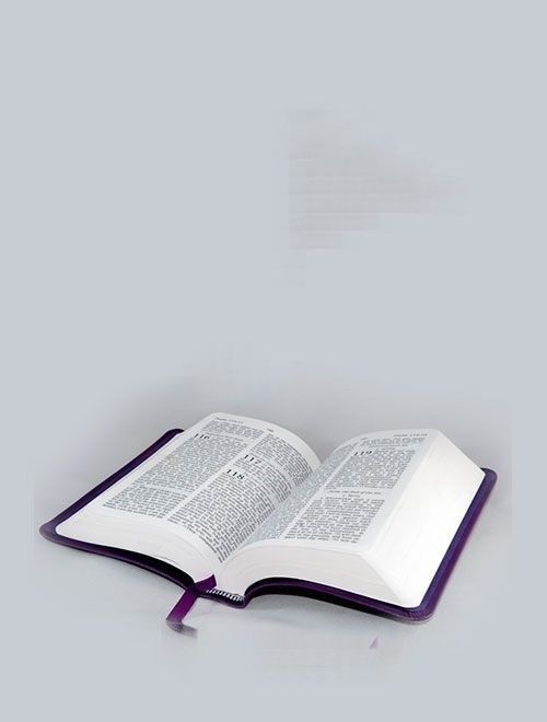 La Biblia